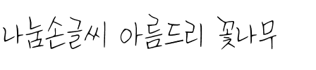 나눔손글씨 아름드리 꽃나무韩国字体
